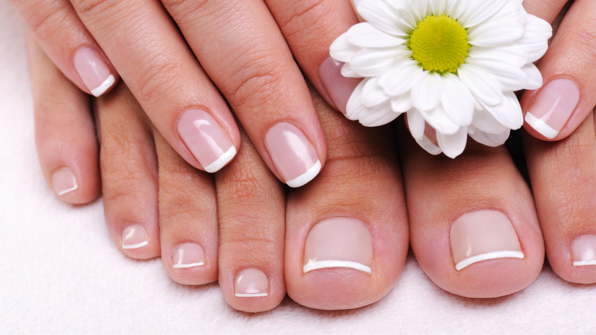 Close-up of well-manicured hands and feet with a French manicure, featuring a delicate white daisy placed on top of the toes, highlighting healthy and polished nails ready for spring.